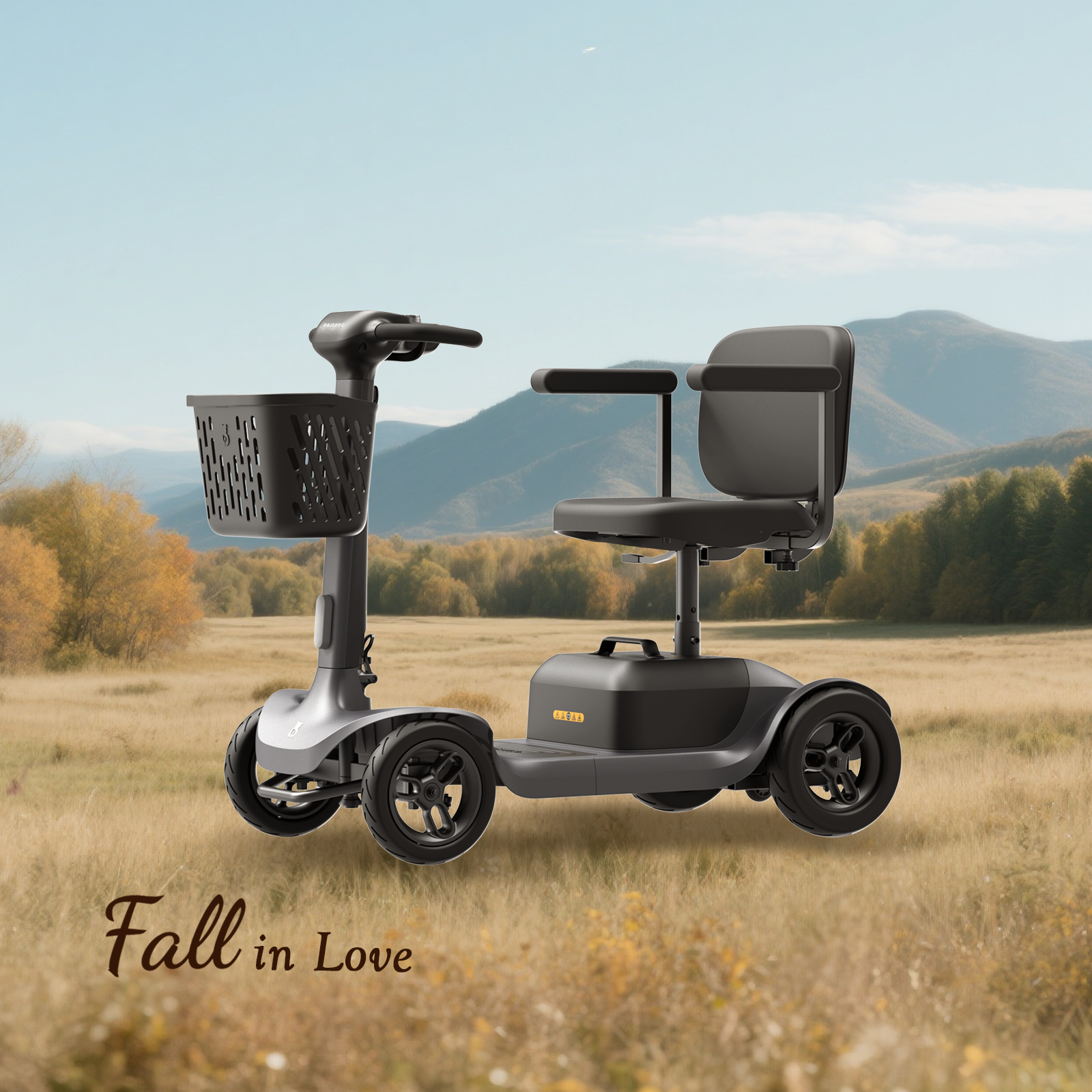 Paiseec Mobility Scooter S1