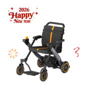 Paiseec 2-in-1 Electric Wheelchair W1