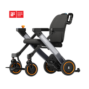 Paiseec 3-in-1 Electric Wheelchair W3