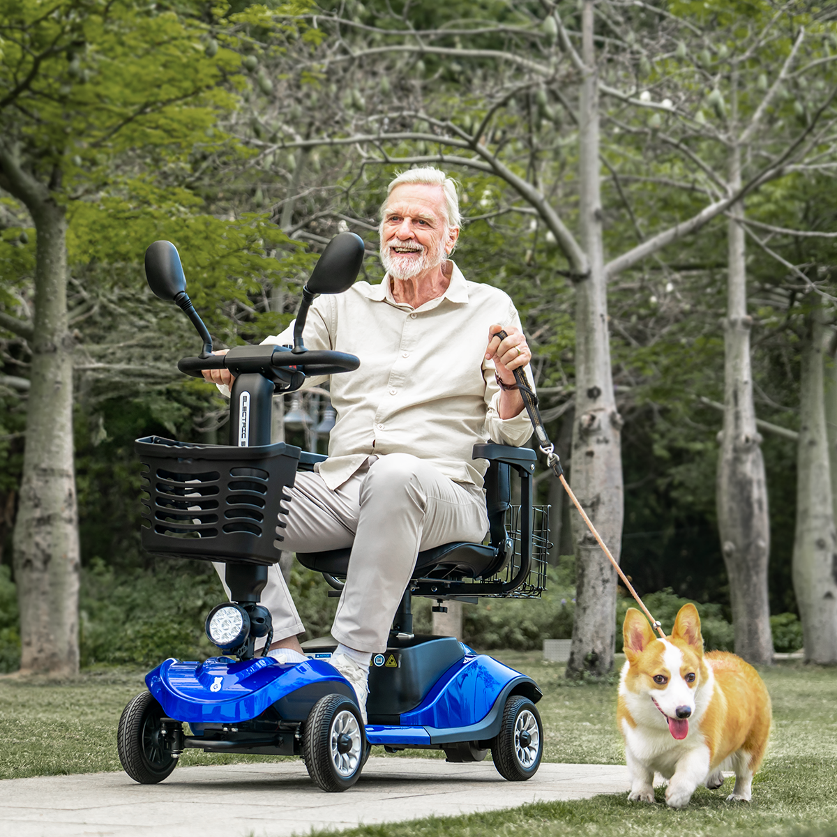 Paiseec Mobility Scooter D1