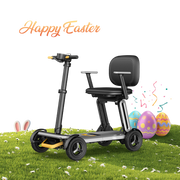 Paiseec Mobility Scooter L5