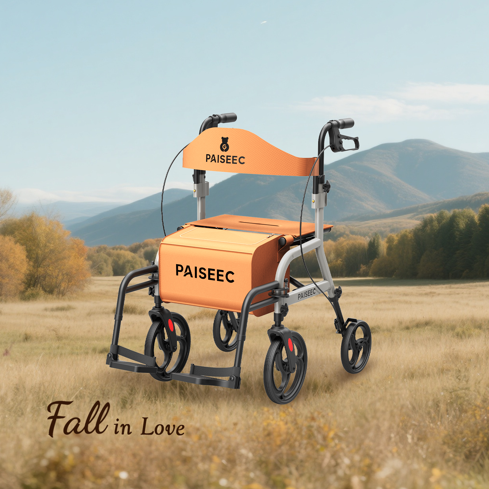 Paiseec 2 in 1 Rollator Walker R1