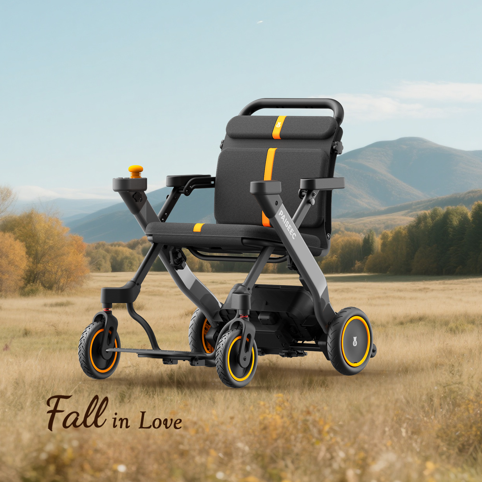 Paiseec 2-in-1 Electric Wheelchair W1