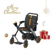 Paiseec 2-in-1 Electric Wheelchair W1