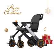 Paiseec 3-in-1 Electric Wheelchair W3