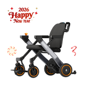 Paiseec 3-in-1 Electric Wheelchair W3