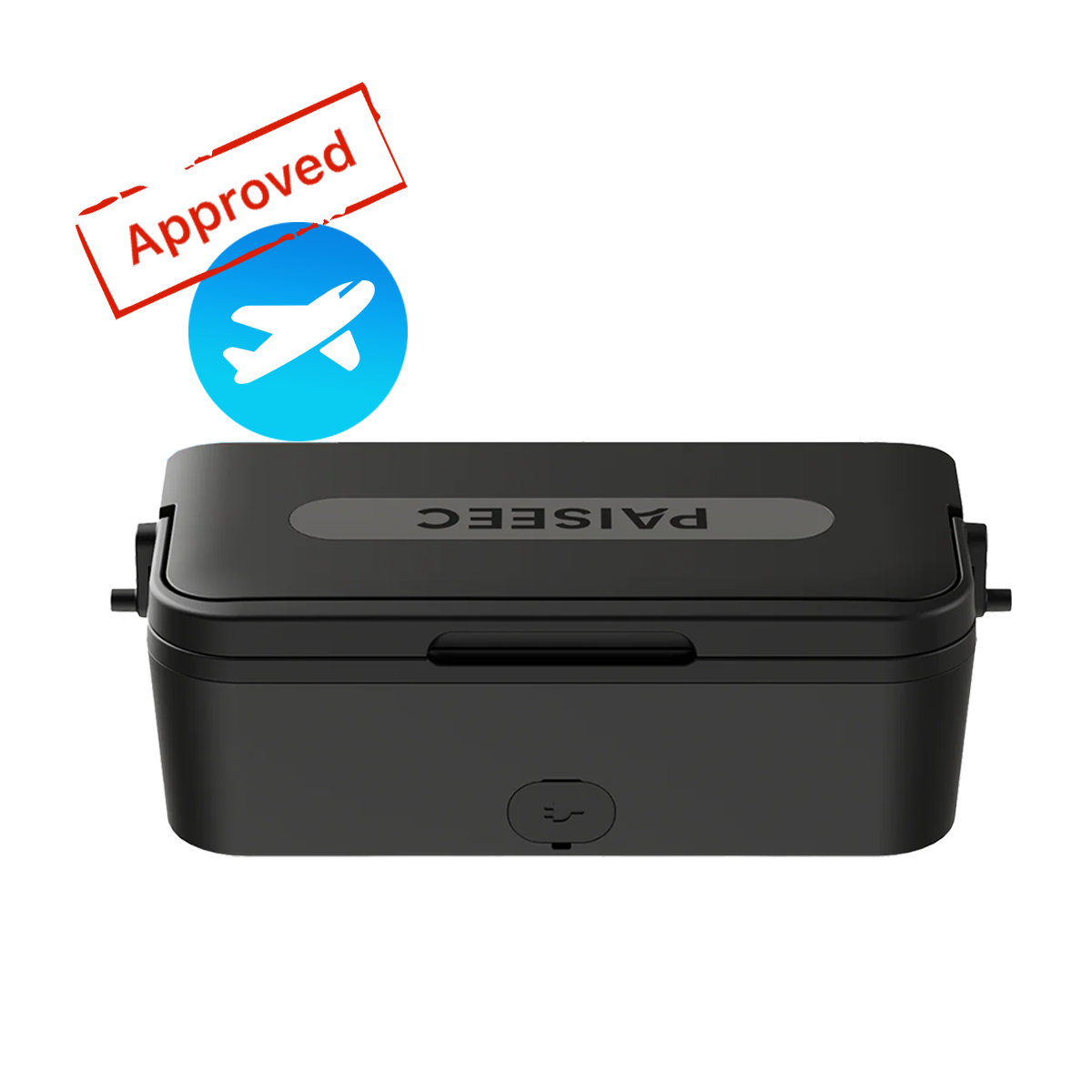 Paiseec Electric Wheelchair Battery - W Series